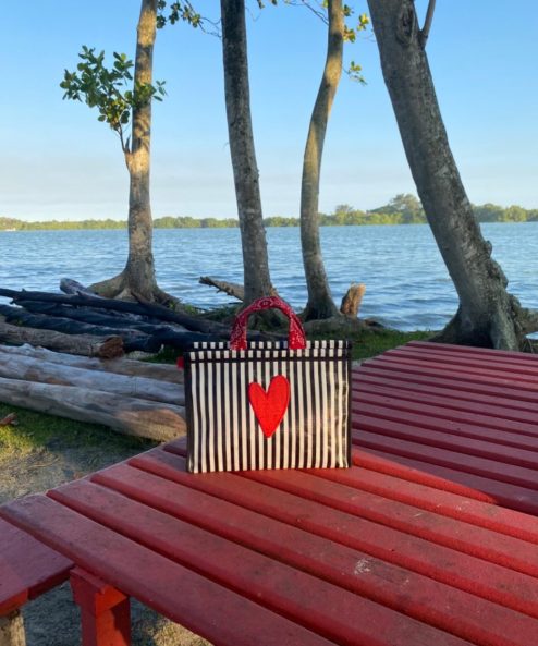 Bolsa Baú Mini