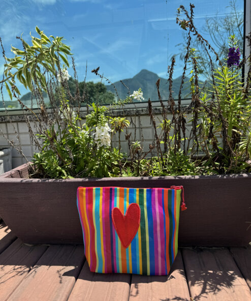 Necessaire grande Pat